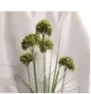 Five chrysanthemum grass buckets details Picture